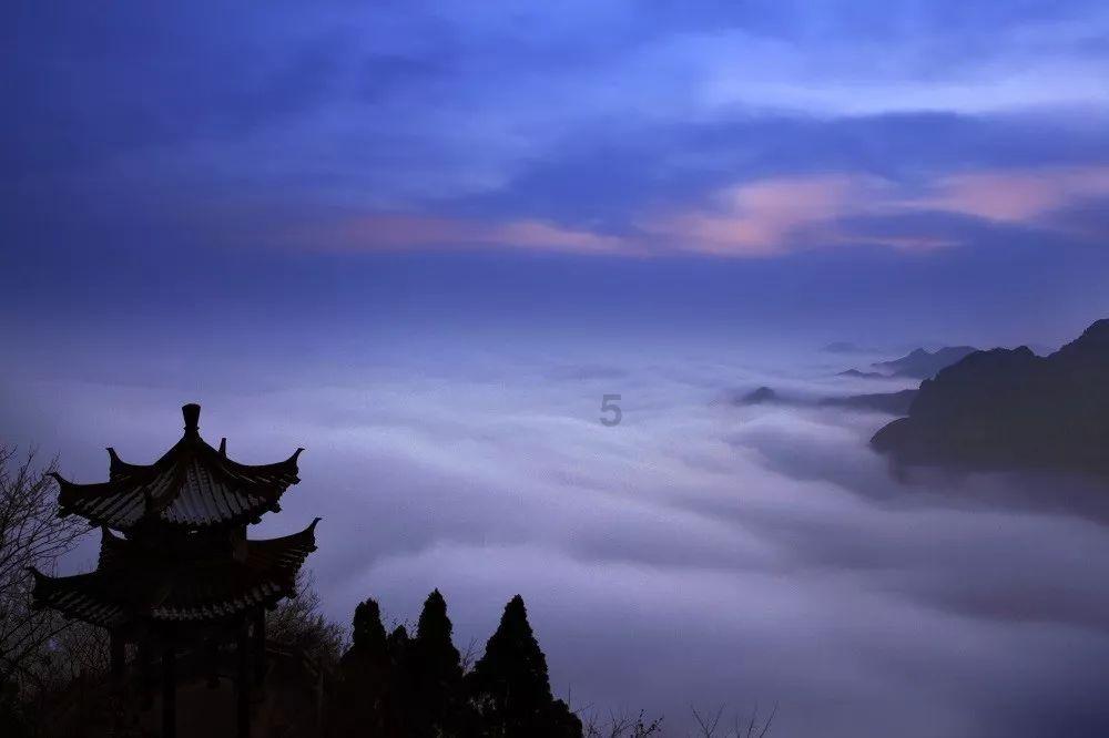 春雨直播app