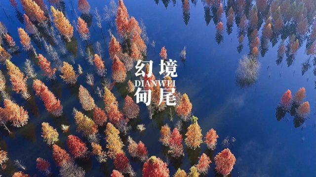 推进党的建设基础理论研究的几点思考