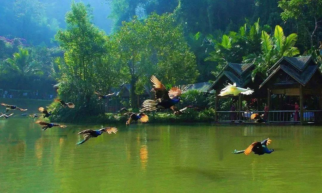 红楼梦：尤二姐在王熙凤手里备受委屈，平儿帮忙，却被王熙凤怒骂