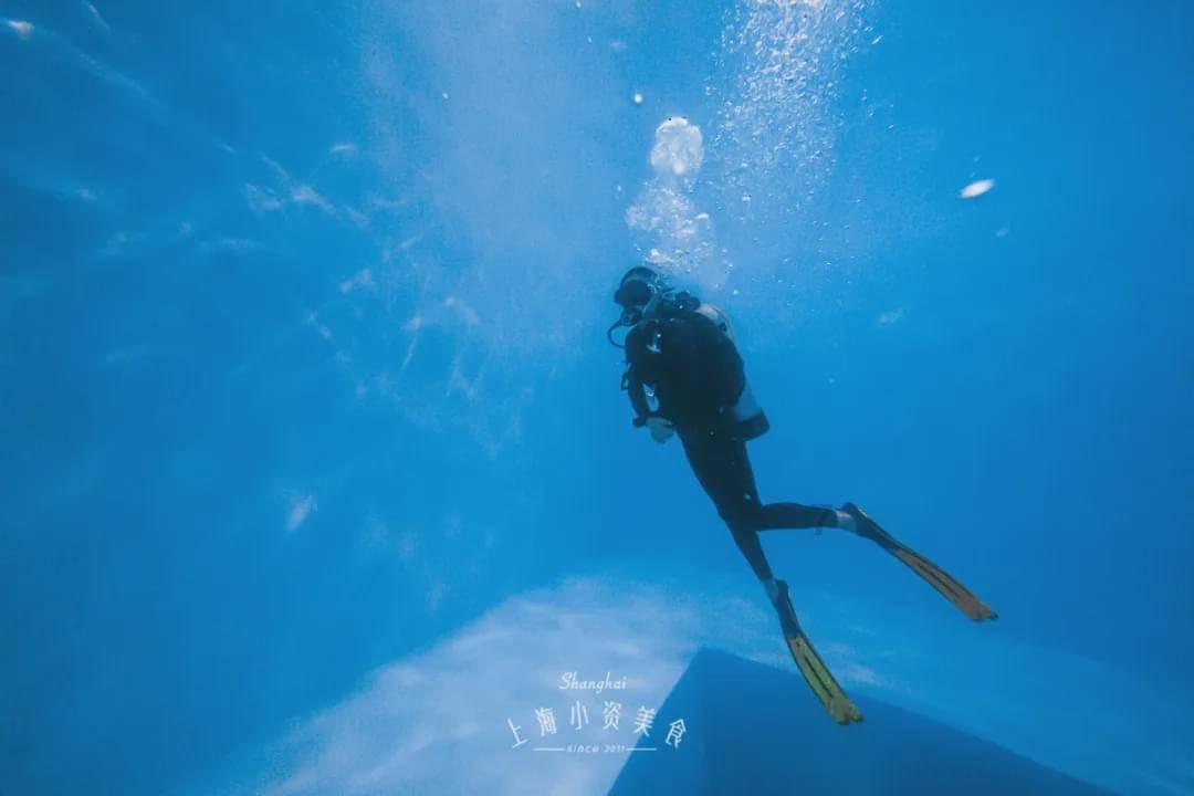 逃离野鸡森林