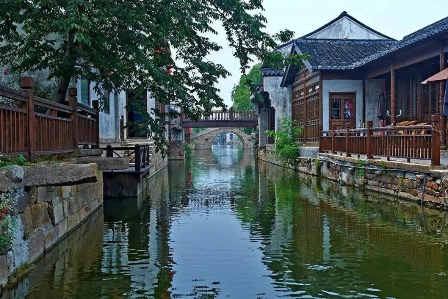 小狗救援行动选关版