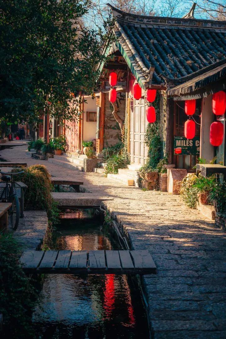 救援蓝色小鱼